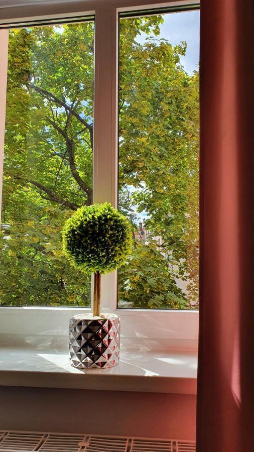 Apartament Przy Starowce - Bella Boleslawiec  Eksteriør billede